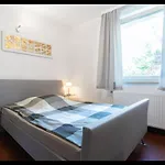 Neat Apartment in Düsseldorf